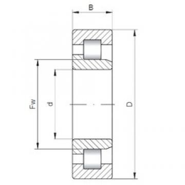 ISO NJ1064 Cylindrical Roller Bearings 320 mm x 480 mm x 74 mm 