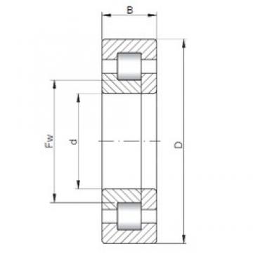 Loyal NUP5219 Cylindrical Roller Bearings 95 mm x 170 mm x 55,56 mm 