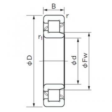 NACHI NJ 2228 Cylindrical Roller Bearings 140 mm x 250 mm x 68 mm 