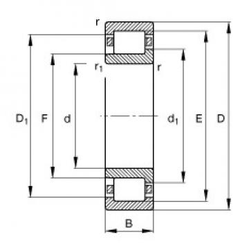 FAG NJ309-E-TVP2 Cylindrical Roller Bearings 45 mm x 100 mm x 25 mm 