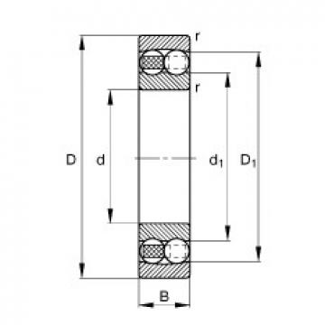 FAG 2210-TVH Self-Aligning Ball Bearings 50 mm x 90 mm x 23 mm 