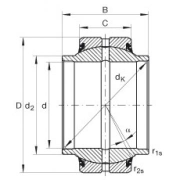 INA GE20-HO-2RS Plain Bearings