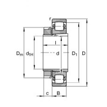 FAG 20222-K-MB-C3 + H222 Spherical Roller Bearings 110 mm x 200 mm x 38 mm 