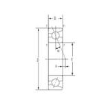 NACHI 7001C Angular Contact Ball Bearings 12 mm x 28 mm x 8 mm 