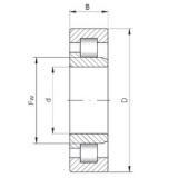 Loyal NJ306 E Cylindrical Roller Bearings 30 mm x 72 mm x 19 mm 