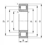 FAG NJ2224-E-TVP2 Cylindrical Roller Bearings 120 mm x 215 mm x 58 mm 