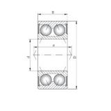 ISO 3309-2RS Angular Contact Ball Bearings