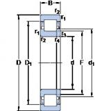 SKF NUP 204 ECP Thrust Ball Bearings 20 mm x 47 mm x 14 mm 