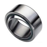 INA GE100-FO-2RS Plain Bearings